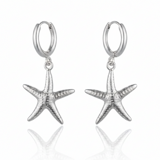 Shine your Way Earrings Silver