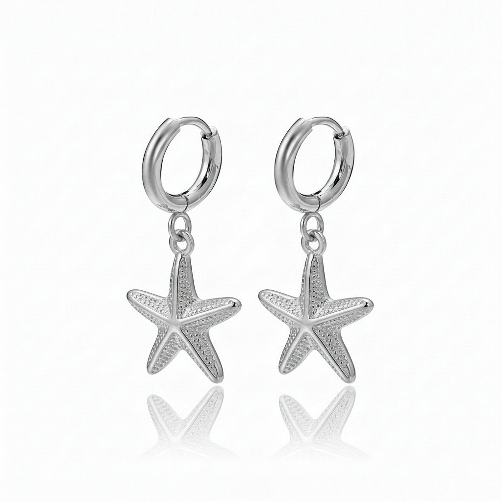 Shine your Way Earrings Silver