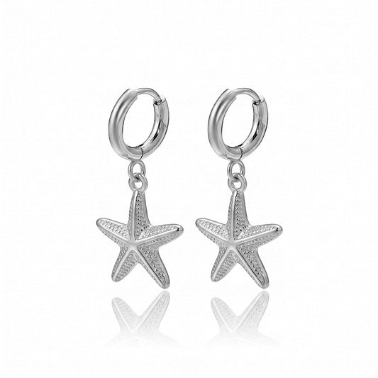 Shine your Way Earrings Silver