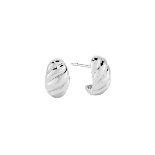 Courageous Spirit Earrings Silver