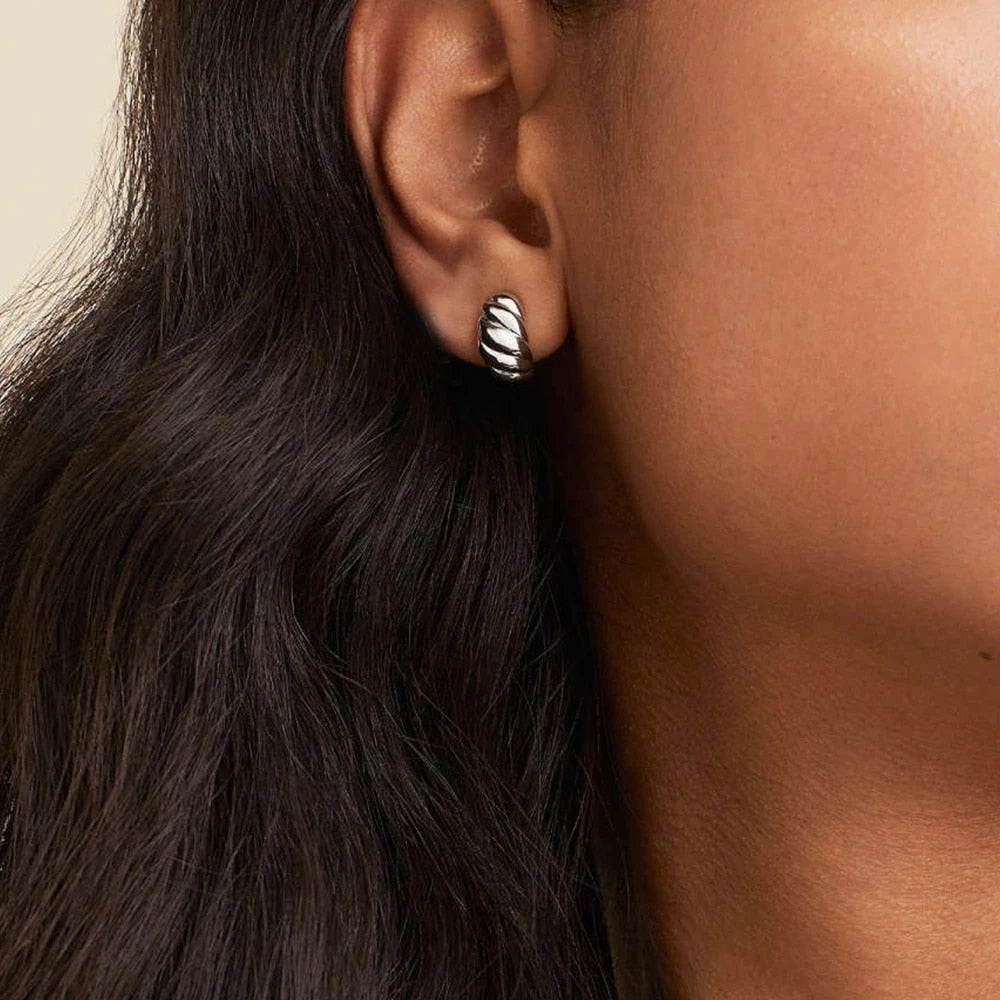 Courageous Spirit Earrings Silver